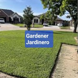 Gardener, Jardinero 