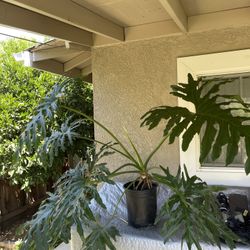 Outside Plant 