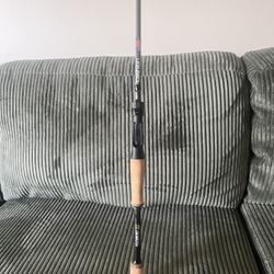 Cashion BFS Fishing Rod