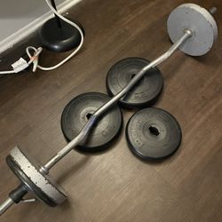 Curl Bar With 80 Pounds Of Weights 
