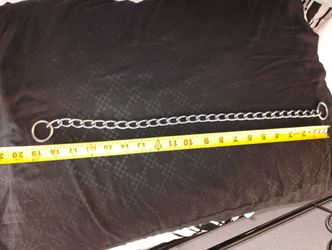 Dog Collar