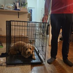 Medium - Large Dog Kennel