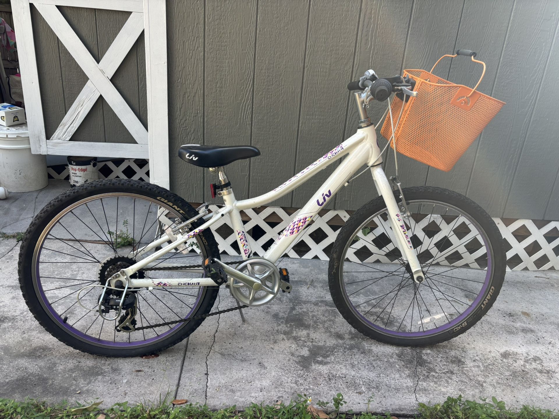 Liv Enchant Girls Bicycle