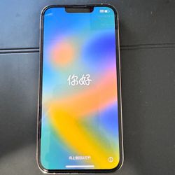 Apple iPhone 13 Pro 256 GB in Silver