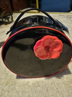 Makeup Case Plus (2) Bags