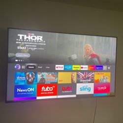Insignia 65in QHD FireTV