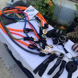 Exercise  Equipment Strength Stretch Bands Bodylastics   With Straps From  Terrell Owens With Carrying Bag. All One Price $30