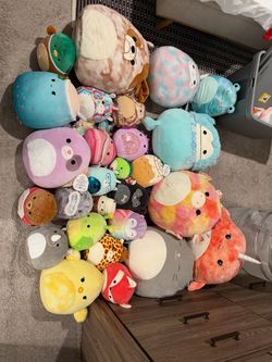 Squishmallow Lot