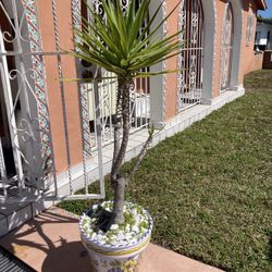 VINTAGE XL SPANISH TERRACOTTA HAND-PAINTED POTS / PLANTERS W/ YUCA PLANTS