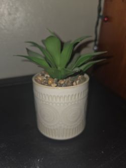 artificial succulent plant
