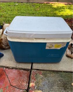 Cooler