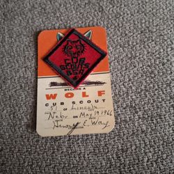 Vintage BSA Cub Scout Badge