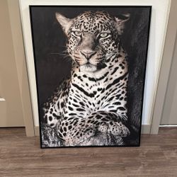 Tiger Portrait 30/40