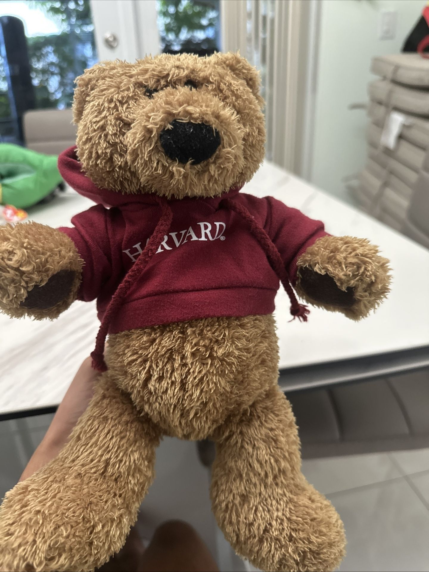 GUND harvard sweater plushie bear