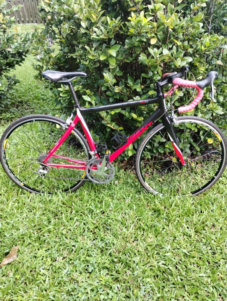 TCR C2 Touring Bike