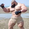 Barthem KnGorA