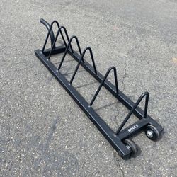 Rogue Weight Storage 