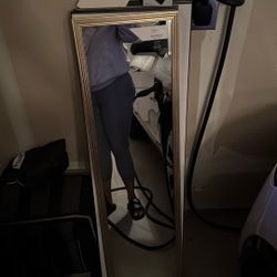Door Mirror