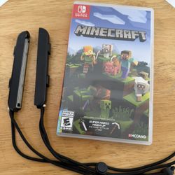 Nintendo Minecraft Game