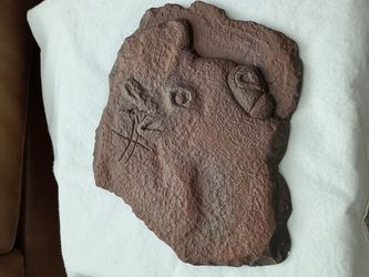 European bison cave art
