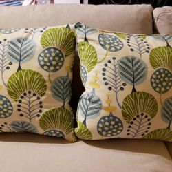 2 Throw Pillows