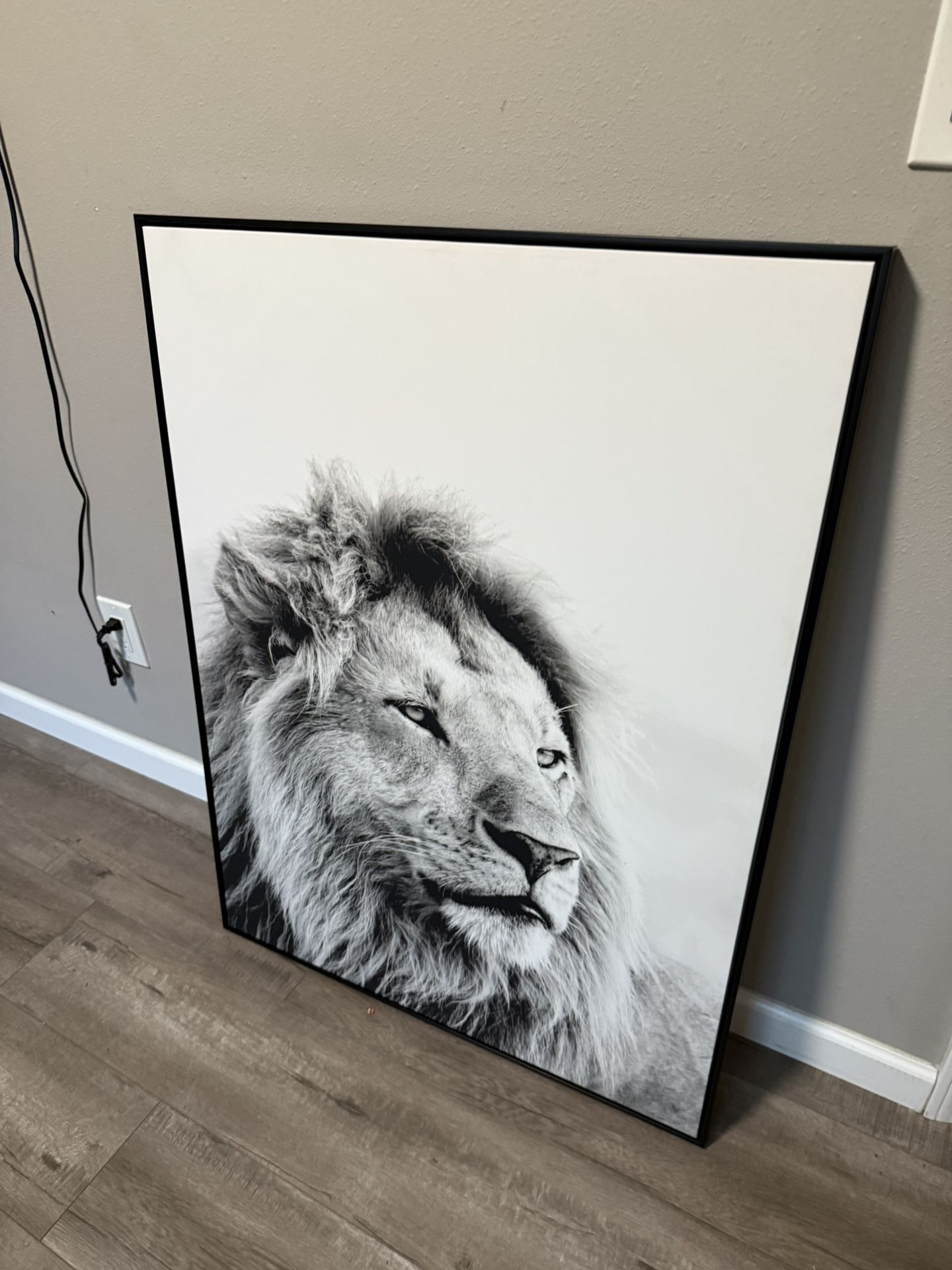 Brand New Lion Portrait 