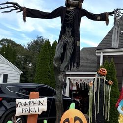 Halloween Decorations