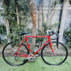 Vintage Specialized Sirrus Road bike