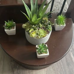 Plant Set 
