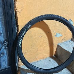 Bike Tire
