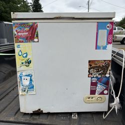 Small Chest Freezer Works