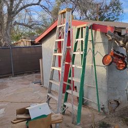 10 Foot Werner Ladder