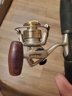Shakespeare ugly stick