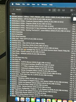 🎵 Audiophile-Grade 16-Bit FLAC Music – Preloaded on MicroSD! 🎵