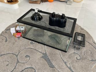 Amphibian Tank Setup - Pickup in Marlboro NJ