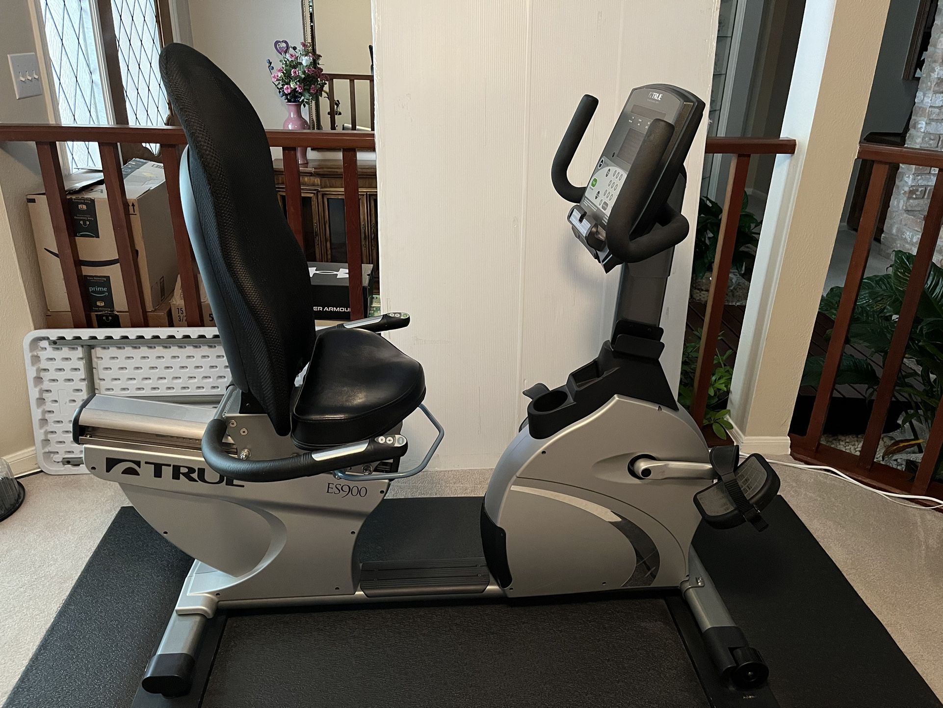 TRUE ES900 Recumbent Bike