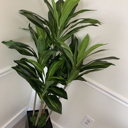 Artificial Dracaena Tree 5 FT -Faux Tree Black Planter - Fake Tropical Yucca Floor Plant  Potted   Artificial Silk Tree