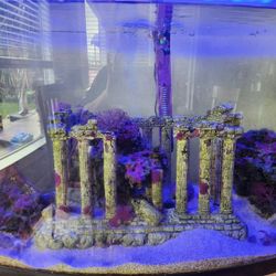 Salt water Tank