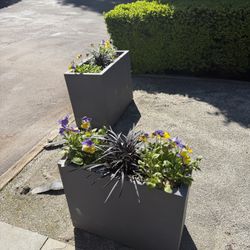 Rectangle Cement Flower Pots