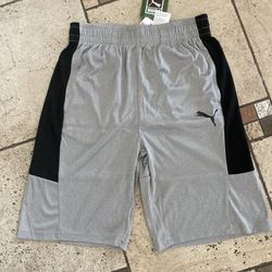 NWT Puma Boys Shorts Size L 14/16