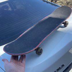 Skate Board