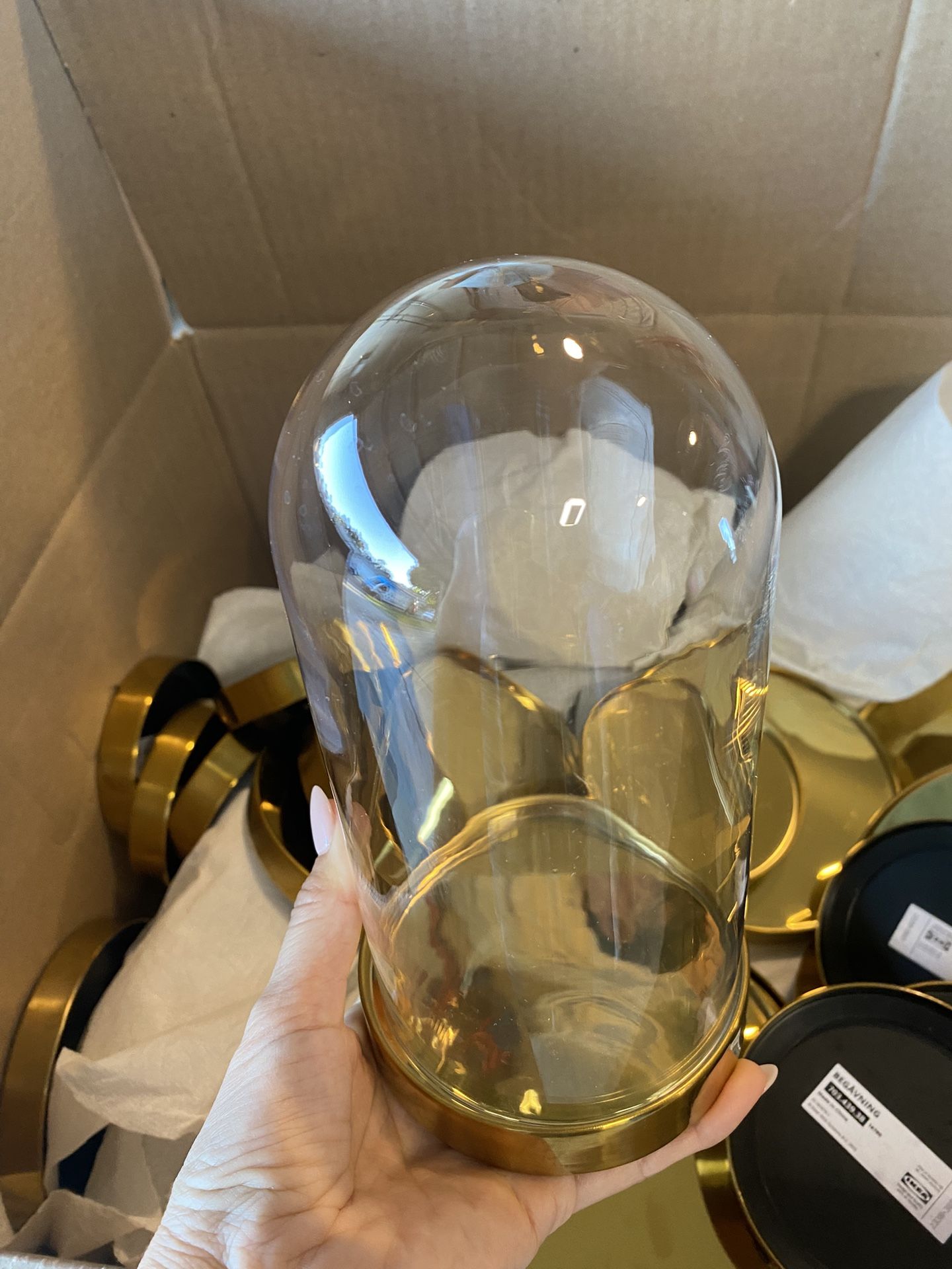 Cristal Domes