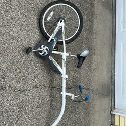 Trailer Bike WeRide Copilot