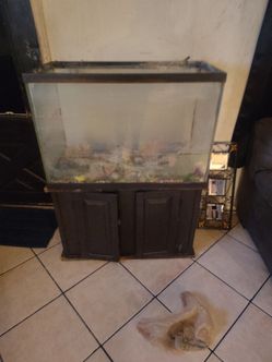 Glass fish tank with stand