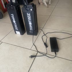Electric Bike Batteries 