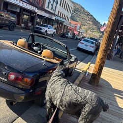 1996 Mazda Mx-5 Miata