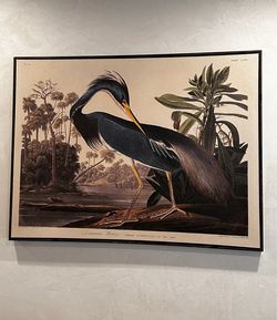 Framed Wall Art