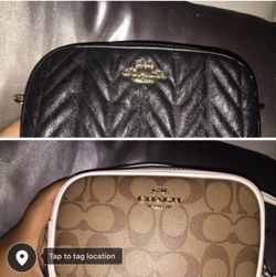 Coach purses
