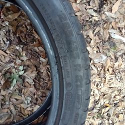 295/35/21 Pirelli's Tire 