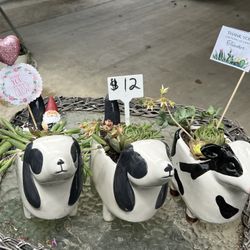 Teacher Appreciation Gifts